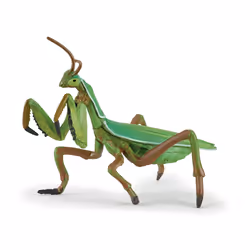 Papo Mante religieuse, 3 an(s), Wild animal kingdom, Vert, PVC