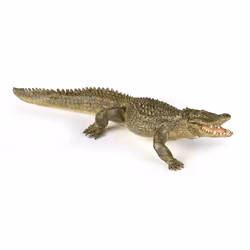 Papo Alligator, 3 an(s), Wild animal kingdom, Vert, PVC