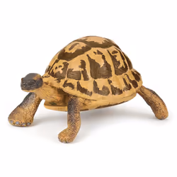 Papo Tortue D'Hermann, Figurine à collectionner, Film et série TV, 460 g