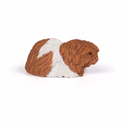 Papo 50276, Wild animal kingdom, Marron, Blanc