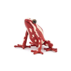 Papo Grenouille flèche tricolore