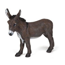Papo Ane de Provence