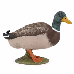 Papo Canard colvert, 3 an(s), Farmyard friends, Multicolore, PVC