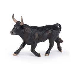 Papo Bull