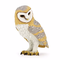 Papo Chouette, 93 g