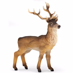 Papo Cerf, 26 g