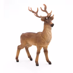 Papo Cerf