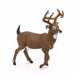 Papo Cerf de Virginie