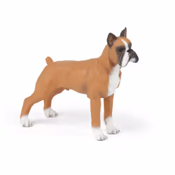Papo Boxer, 3 an(s), Dog and cat companions, Marron, Blanc, PVC