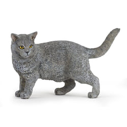 Papo Chartreux