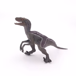 Papo Vélociraptor, 0,8 an(s), Dinosaures, Gris, PVC