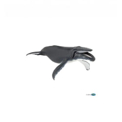 Papo Baleine à bosse