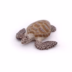 Papo Tortue caouanne, 27 g