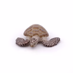 Papo Tortue caouanne