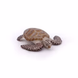 Papo Tortue caouanne - Vue supplémentaire 4