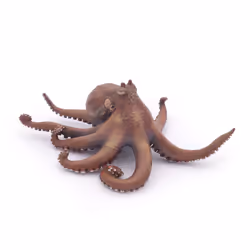 Papo Pieuvre, 3 an(s), Marine life, Marron, PVC