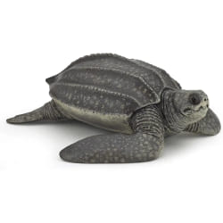 Papo Tortue Luth
