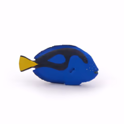 Papo Poisson chirurgien, 36 g