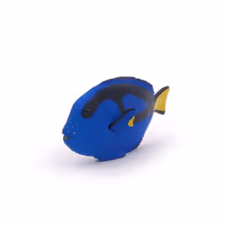 Papo Poisson chirurgien