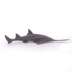 Papo Poisson scie