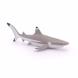 Papo Requin à pointes noires, 3 an(s), Marine life, Gris, PVC