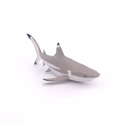 Papo Requin à pointes noires