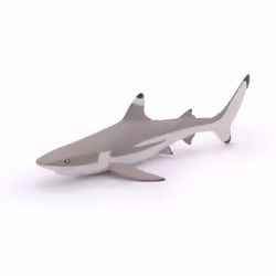 Papo Requin à pointes noires - Vue supplémentaire 4