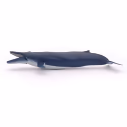 Papo Baleine bleue, 22 g