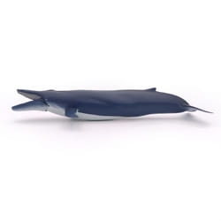 Papo Baleine bleue