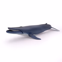 Papo Baleine bleue