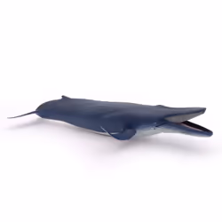 Papo Baleine bleue - Vue supplémentaire 5