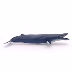 Papo Baleine bleue - Vue supplémentaire 6