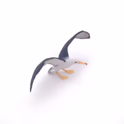 Papo Albatros - Vue supplémentaire 4