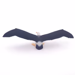 Papo Albatros - Vue supplémentaire 6