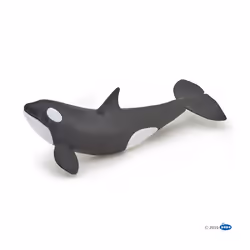 Papo Bébé orque, 3 an(s), Marine life, Noir, Blanc, PVC