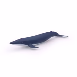Papo Bébé baleine bleue, 3 an(s), Marine life, Bleu, PVC