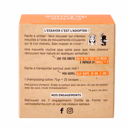 Corine de Farme 040972 shampooing Shampoing sec Unisexe