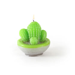 GRAINE CREATIVE Moule Latex Bougie Cactus