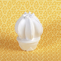 GRAINE CREATIVE 1 Plâtre Cactus Boule
