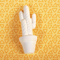 GRAINE CREATIVE 1 Plâtre Cactus Long, Plâtre, Blanc, 1 pièce(s)