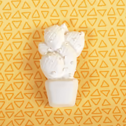 GRAINE CREATIVE 1 Plâtre Cactus Rond, Plâtre, Blanc, 1 pièce(s)
