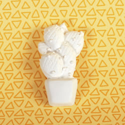 GRAINE CREATIVE 1 Plâtre Cactus Rond