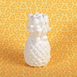 GRAINE CREATIVE 1 Plâtre Ananas, Plâtre, Blanc, 1 pièce(s)