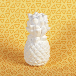 GRAINE CREATIVE 1 Plâtre Ananas