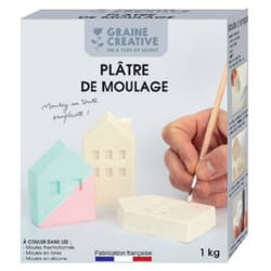 GRAINE CREATIVE 170910 plâtre 1 kg