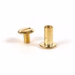 GRAINE CREATIVE 264996, Vis, Cuir véritable, Plat, T��te ronde, Or, 10 mm