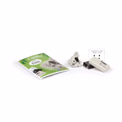 GRAINE CREATIVE Sachet Fimo 2X25G - Koala