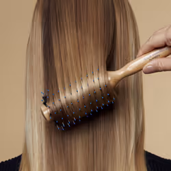 Sisley The Blow-Dry Brush N°1 Universel Brosse à cheveux ronde Noir, Bois 1 pièce(s)