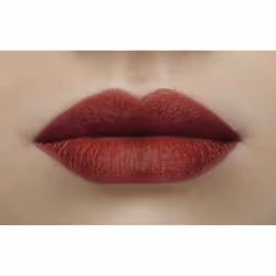 Sisley Phyto-Lip Twist Mat 2,5 g 22 Burgundy