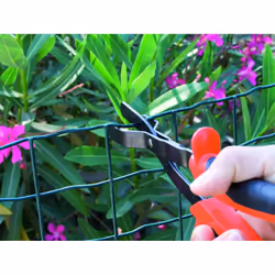 EDMA 040755 pince